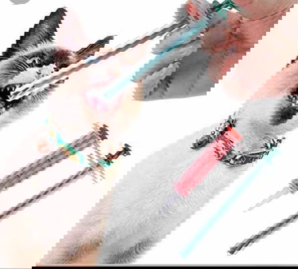 جراعة الحبوب  Image 1 Preview