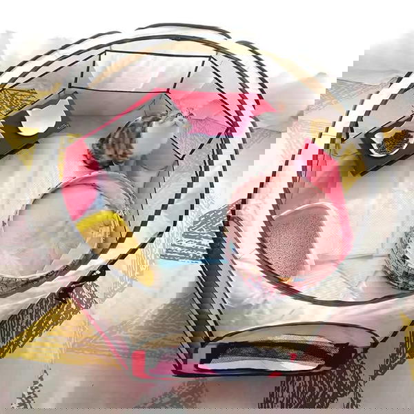 خيمة القطط  Image 1 Preview