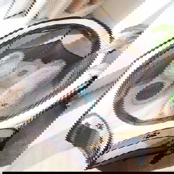 خيمة القطط  Image 4 Preview