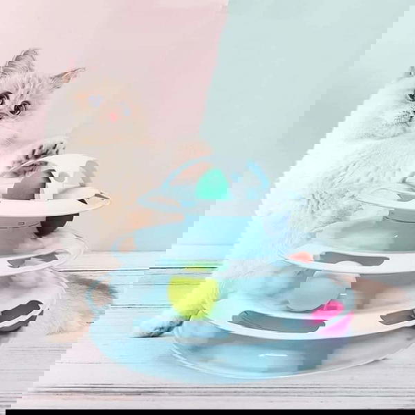لعبة المسارات  Image 1 Preview