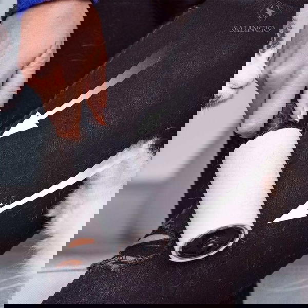 لمامة الشعر  Image 2 Preview