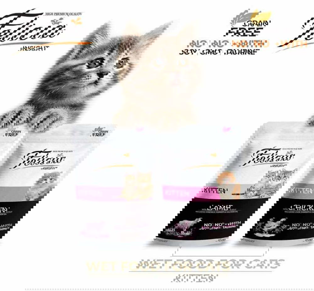 مغلفات F Preview Image
