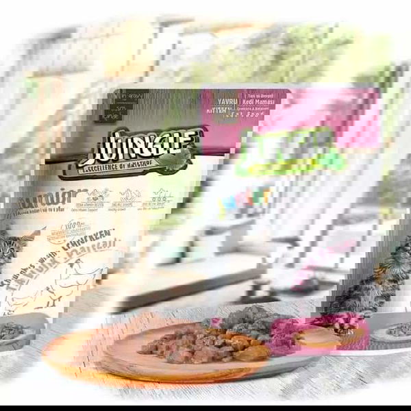 مغلفات JUNGEL Image 1 Preview
