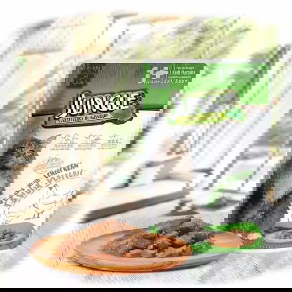مغلفات JUNGEL Image 2 Preview