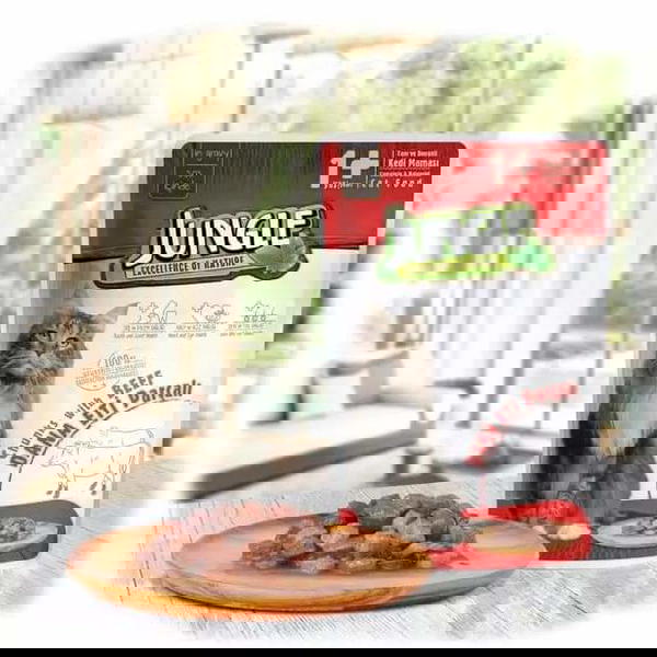 مغلفات JUNGEL Image 5 Preview