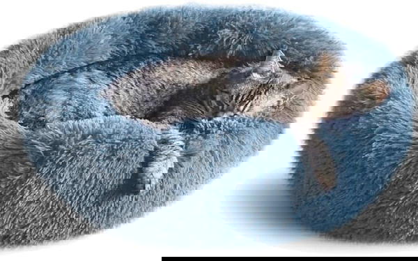 منام للقطط Image 1 Preview