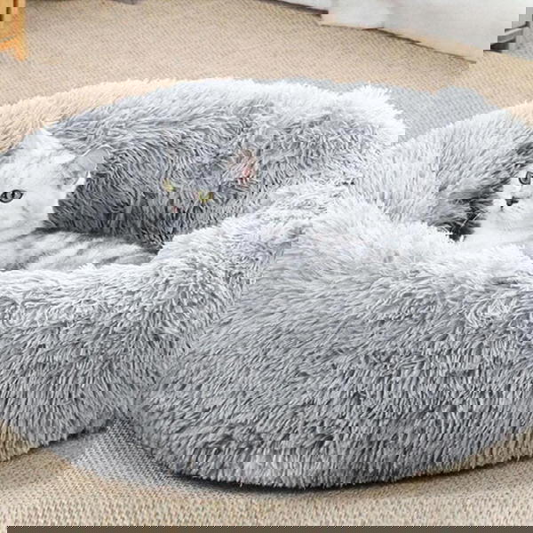 منام للقطط Image 2 Preview
