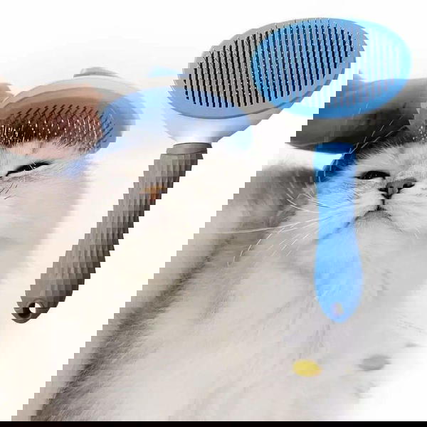 مشط  Image 3 Preview