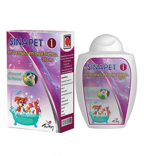 شامبوا مضاد للفطريات  Image 1 Preview