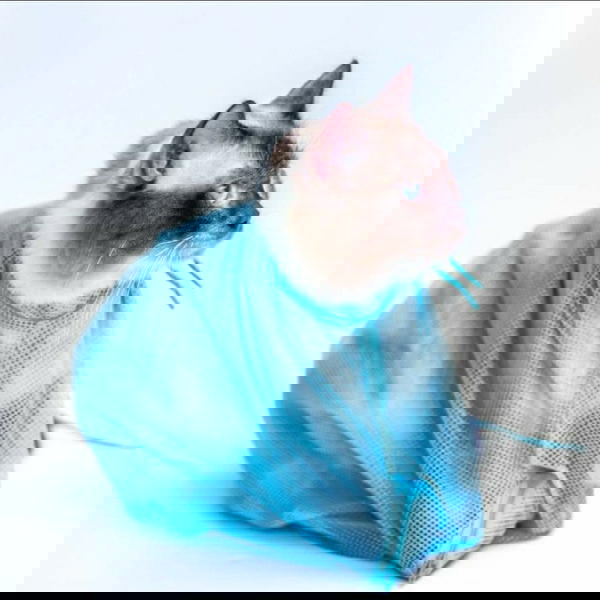 شبكة السيطره على القط Image 1 Preview