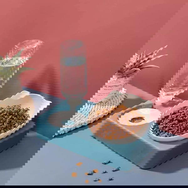 صحن مع مطاره  Image 1 Preview