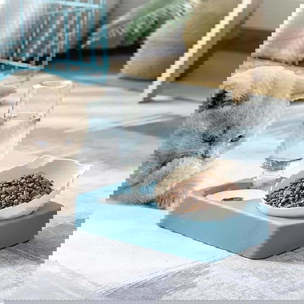 صحن مع مطاره  Image 2 Preview