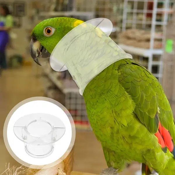 طوق الببغاء  Image 1 Preview