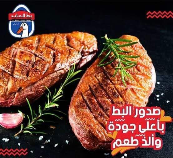 صدور بط العابد بالكيلو  Preview Image