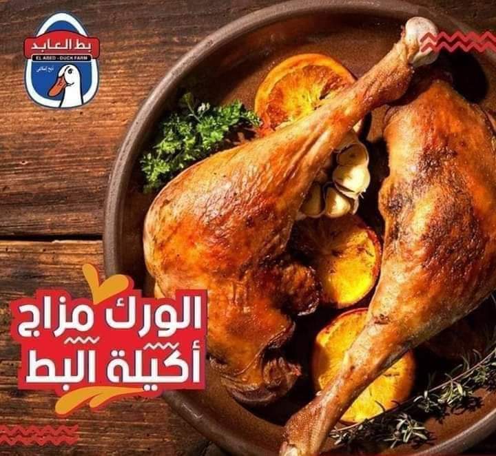 أوراك بط العابد  Preview Image