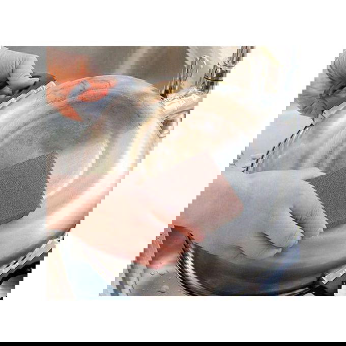 اسفنجه كربونيه Preview Image