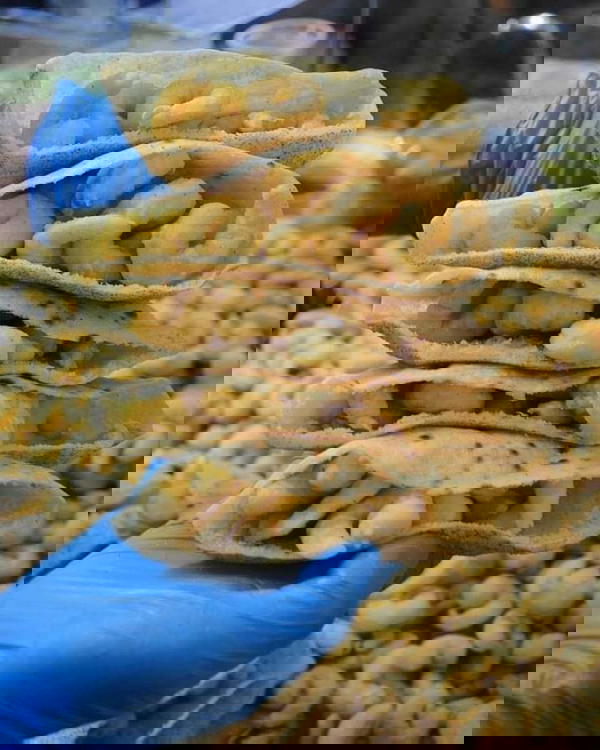 مركب جمبري وسط  Image 1 Preview