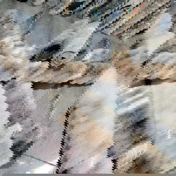 حافظة سجاد ببلز  Image 1 Preview