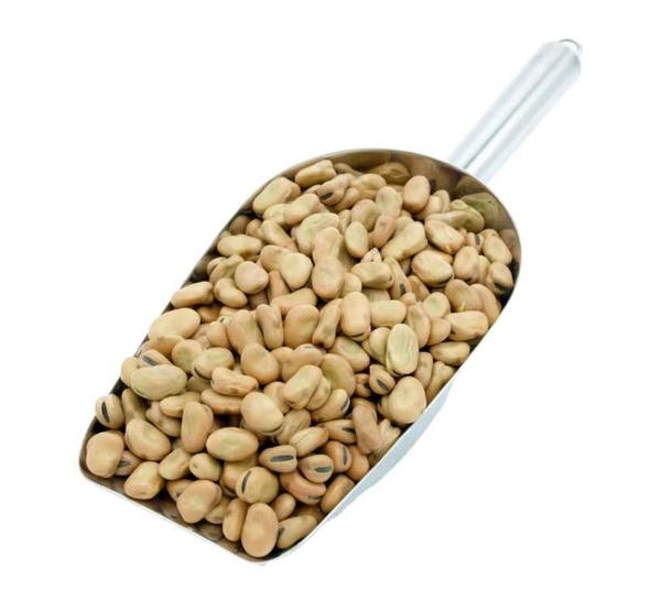 فول بلدي نص كجم  Image 1 Preview