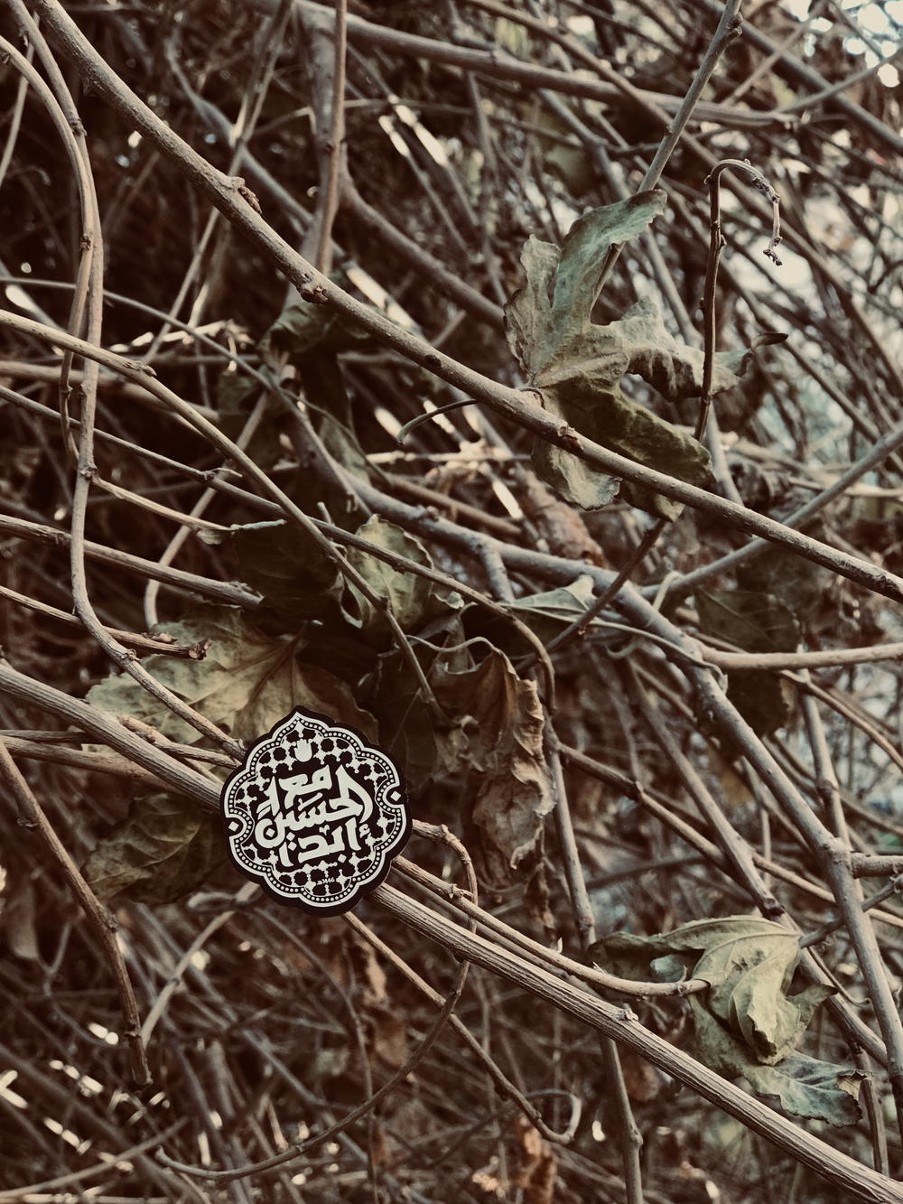 بروشات حسينيه (دبوس) Preview Image