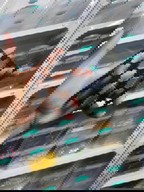 3*4 21700 Image 1 Preview