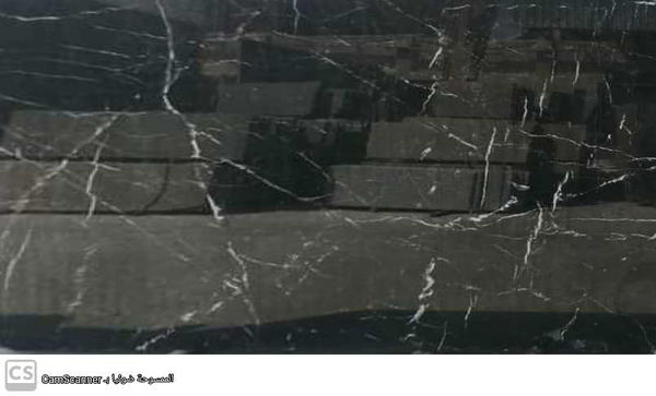 اسود اسباني Image 4 Preview
