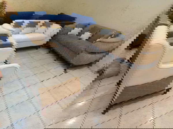 انتريه عنكبوت  Image 5 Preview