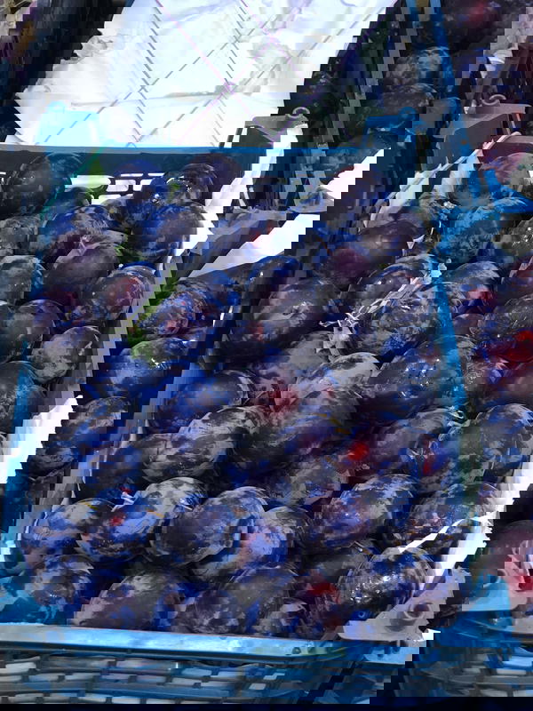 عنجاص Image 1 Preview