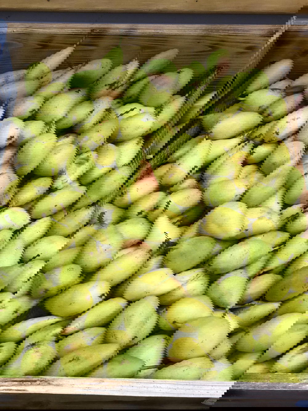 عرموط Preview Image