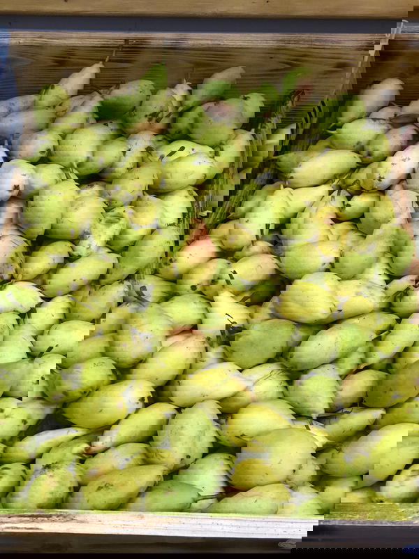 عرموط Image 1 Preview