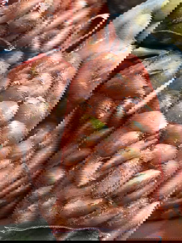 بصل Image 1 Preview