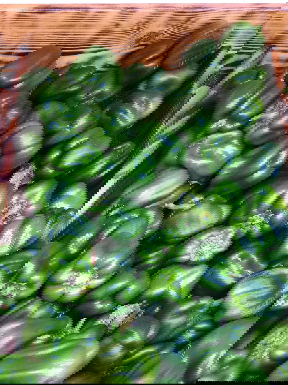 فلفل  Preview Image