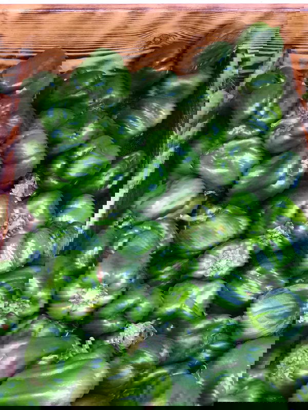 فلفل  Image 1 Preview