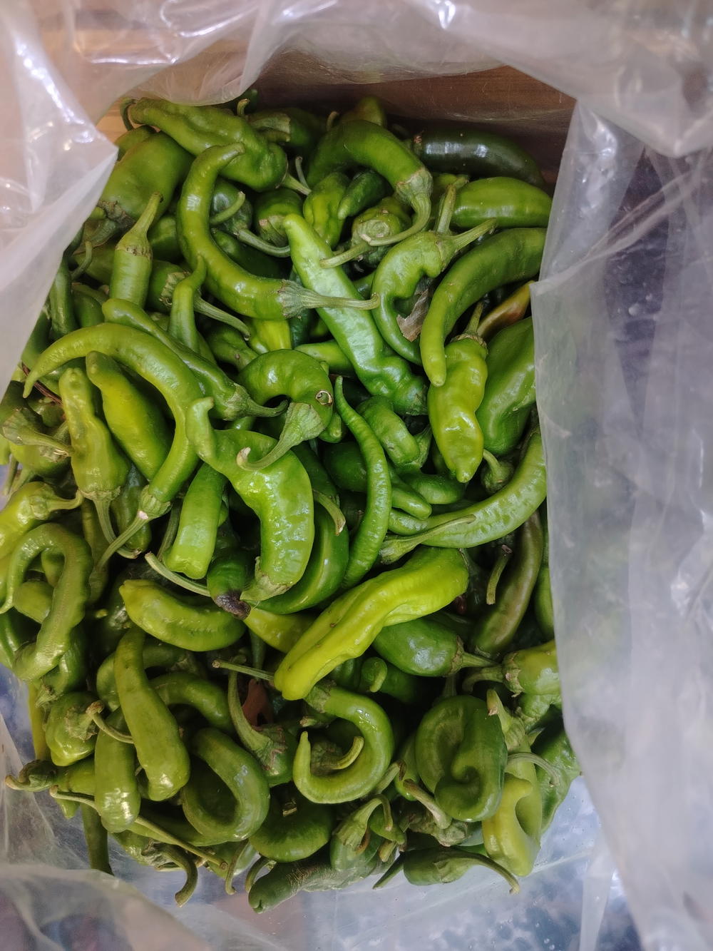 فلفل كرن الغزال حلو Preview Image