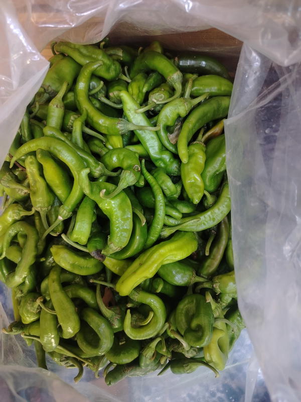 فلفل كرن الغزال حلو Image 1 Preview