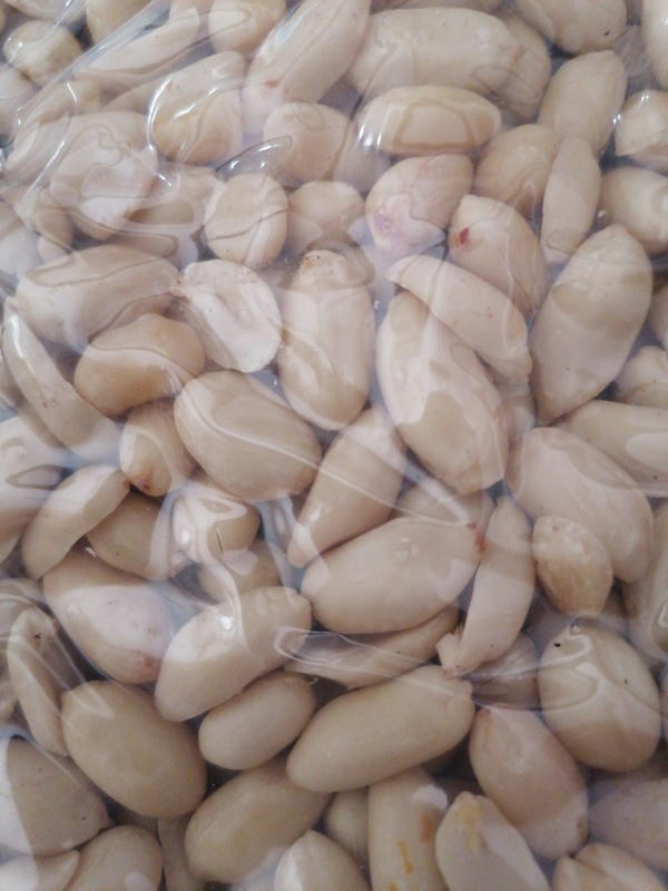 فستق طبخ ربع Image 1 Preview