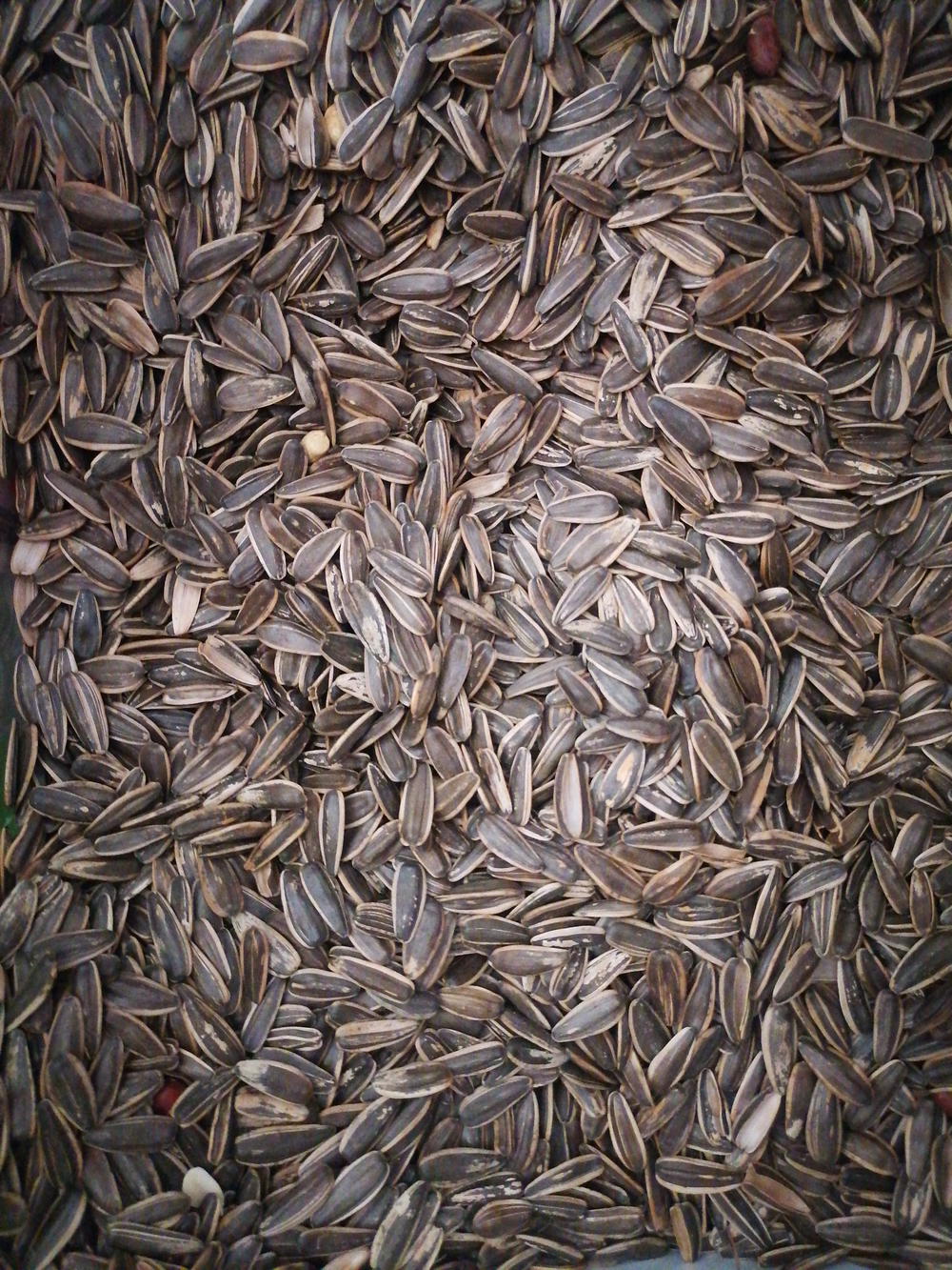 حب راوه ربع  Preview Image