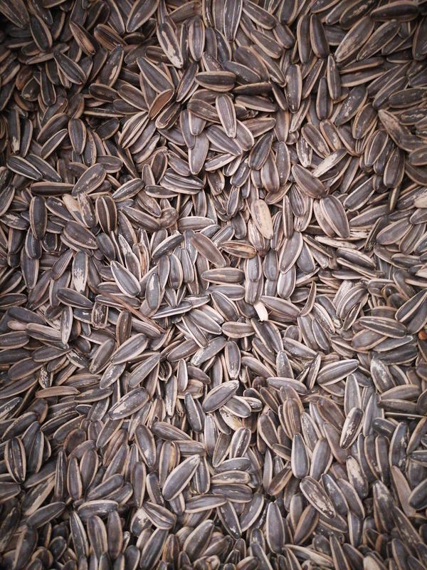 حب شمس هيت ربع Image 1 Preview