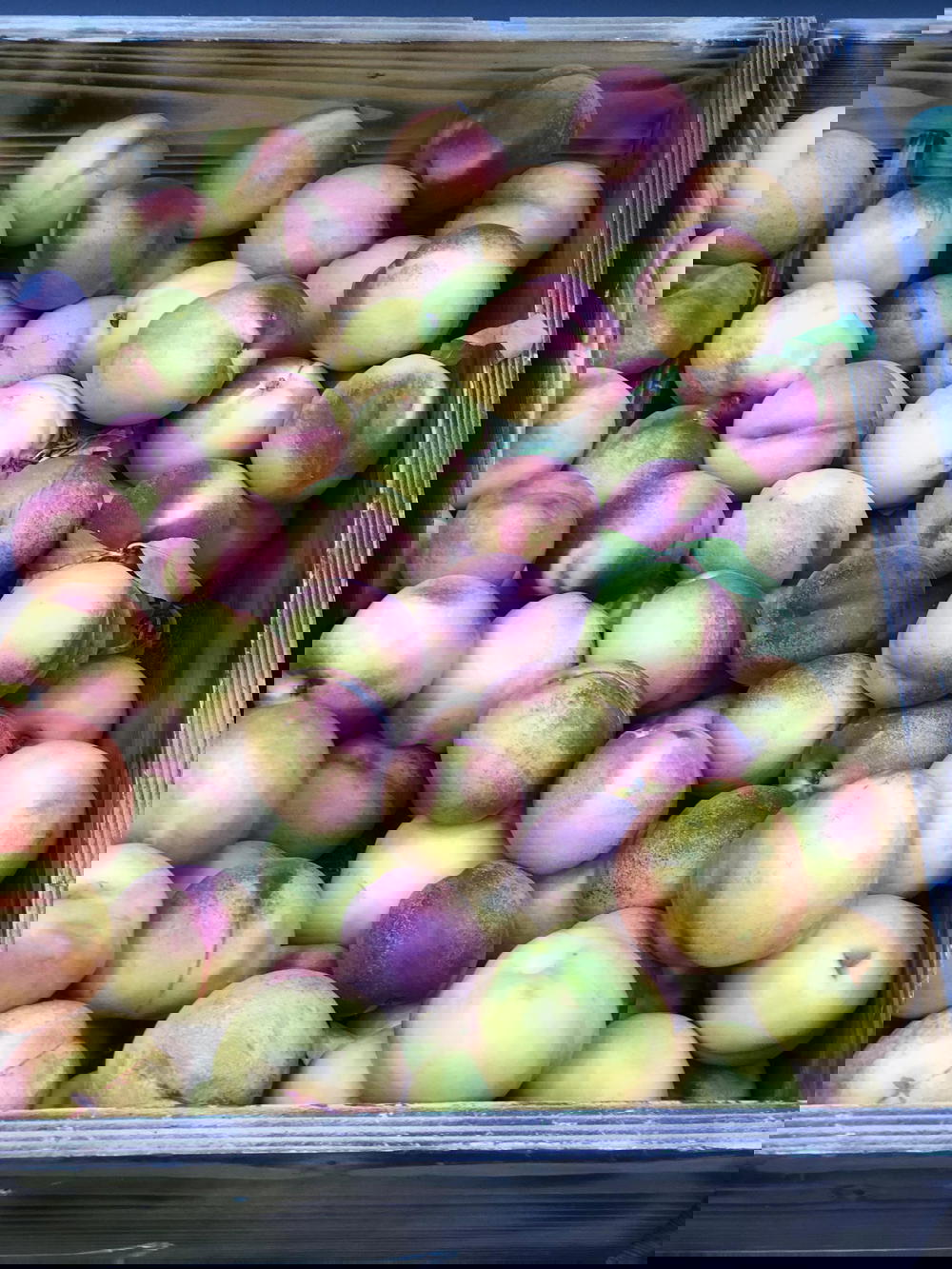 خوخ مسكي Preview Image