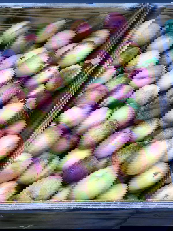 خوخ مسكي Image 1 Preview