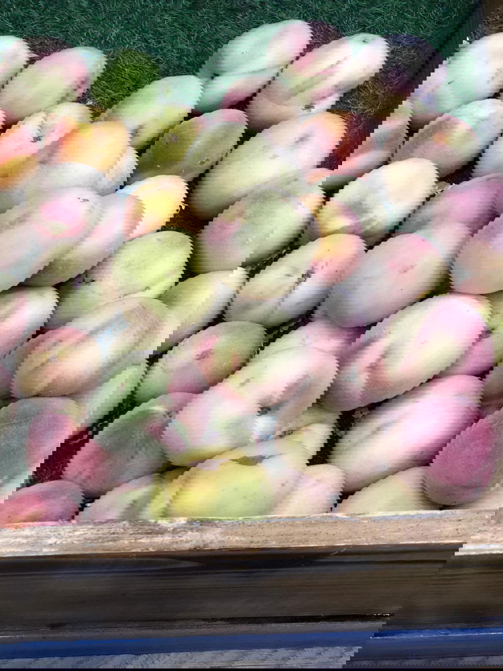 خوخ صوفي  Preview Image