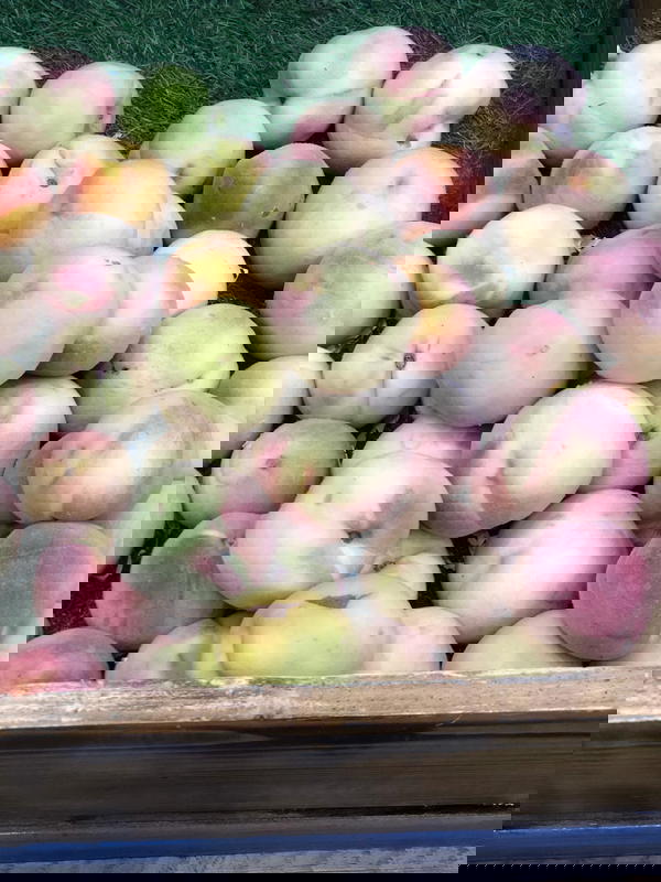 خوخ صوفي  Image 1 Preview