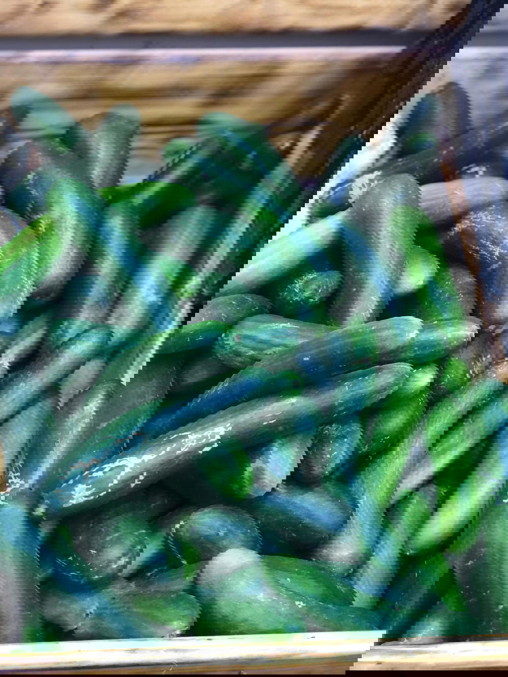 خيار خشن  Preview Image