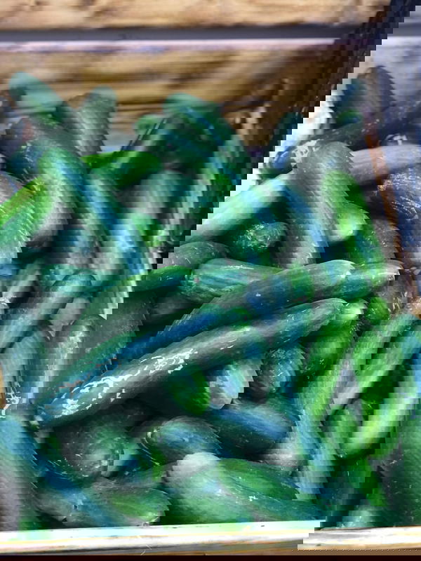 خيار خشن  Image 1 Preview