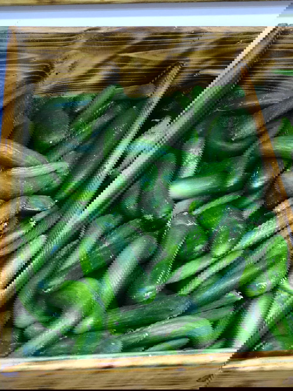 خيار ناعم  Preview Image