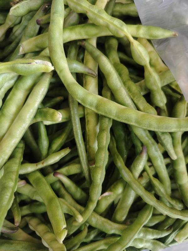 لوبيا  Image 1 Preview