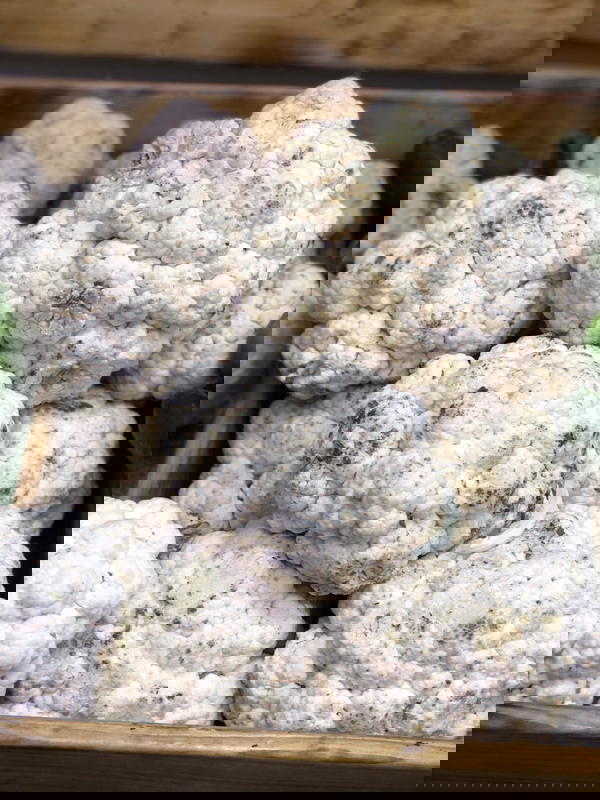 قرنابيط Image 1 Preview