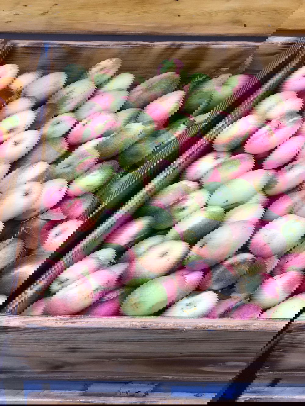 تفاح  Preview Image