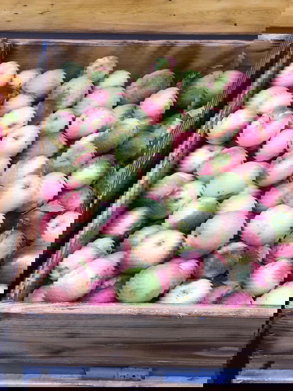 تفاح  Image 1 Preview