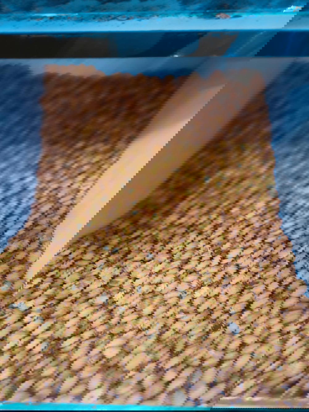 ذره محمصه Preview Image